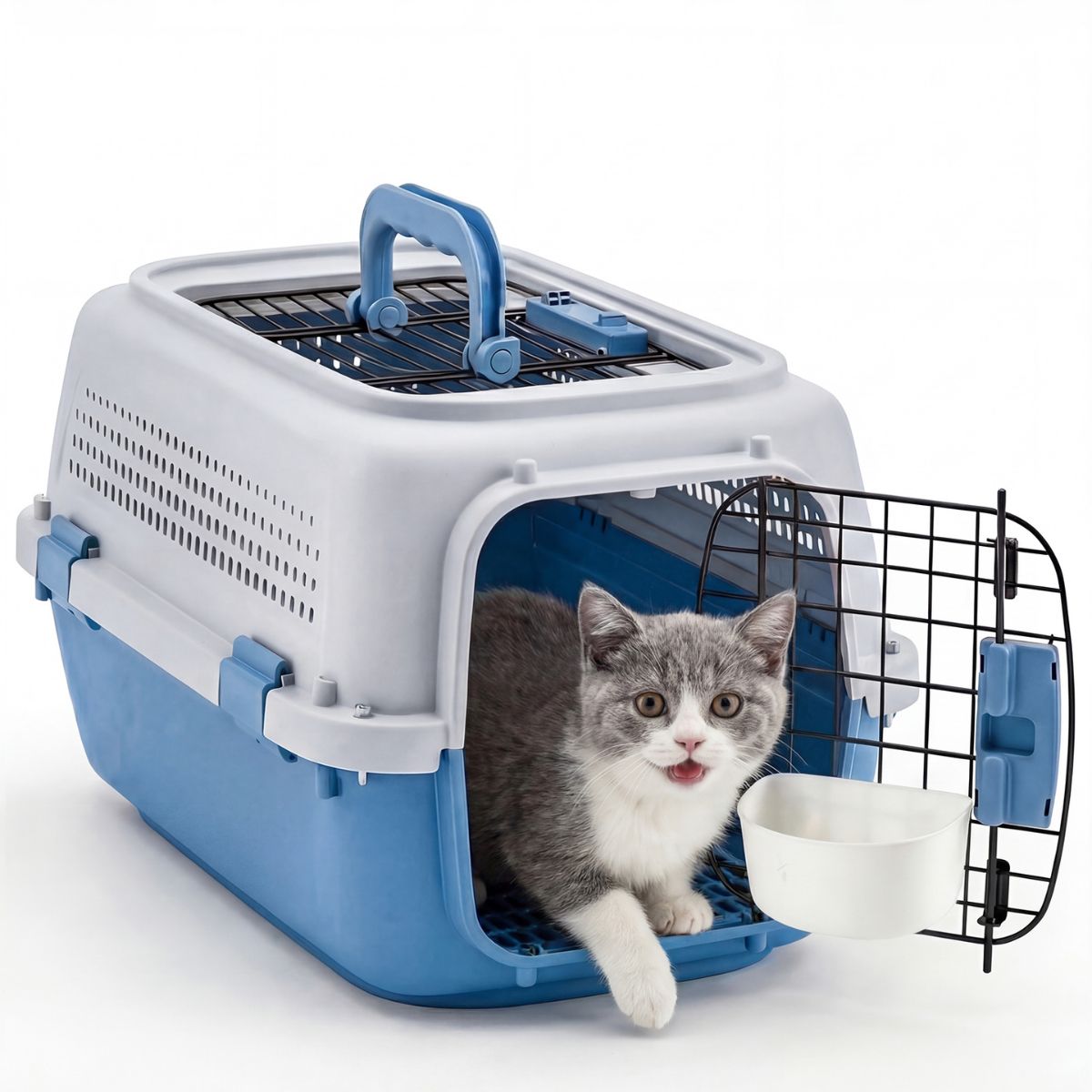 Hard-sided pet carrier with top handle, ventilated top, and front wire door, white and blue